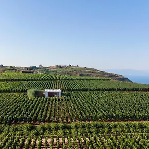 Tenuta Di Castellaro Winery & Resort Lipari (Isola Lipari)